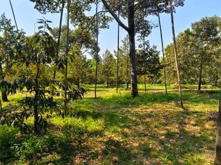 Terreno en venta en Khao Khitchakut, Chanthaburi