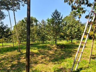 Terreno en venta en Khao Khitchakut, Chanthaburi