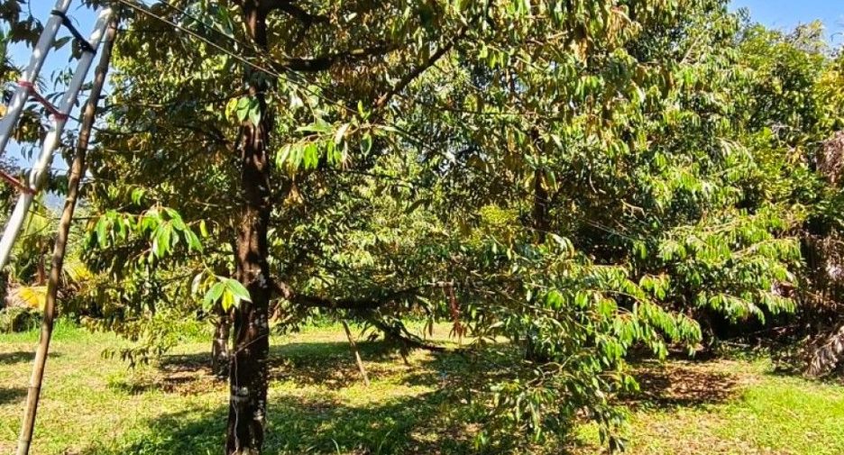 Grundstück zum Kauf in Khao Khitchakut, Chanthaburi