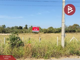 For sale land in Doi Lo, Chiang Mai