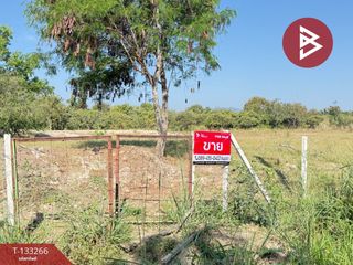 For sale land in Doi Lo, Chiang Mai
