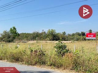For sale land in Doi Lo, Chiang Mai
