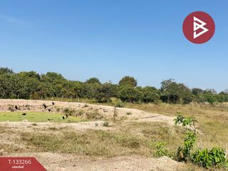 For sale land in Doi Lo, Chiang Mai