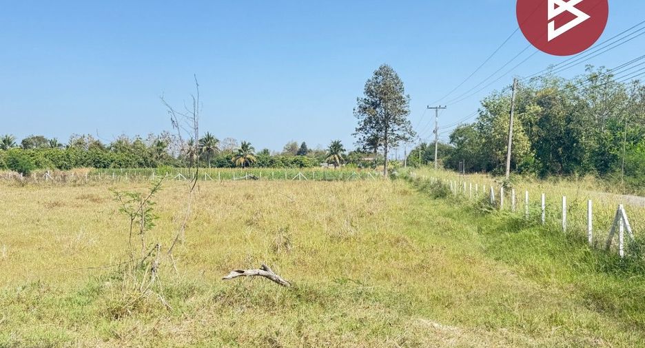 For sale land in Doi Lo, Chiang Mai