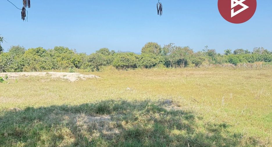 For sale land in Doi Lo, Chiang Mai