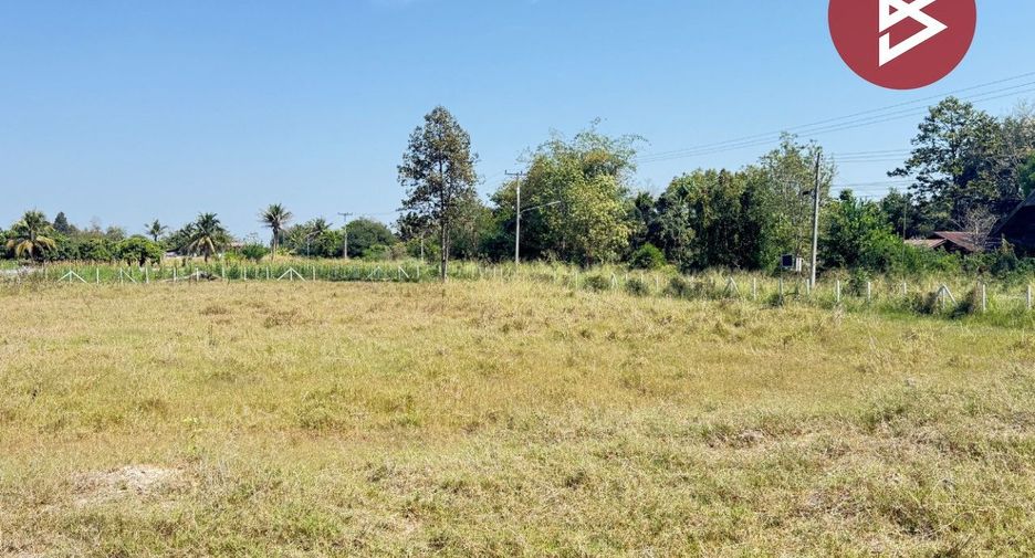For sale land in Doi Lo, Chiang Mai