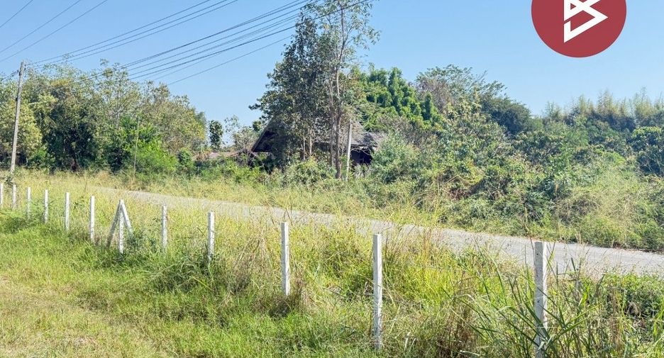 For sale land in Doi Lo, Chiang Mai