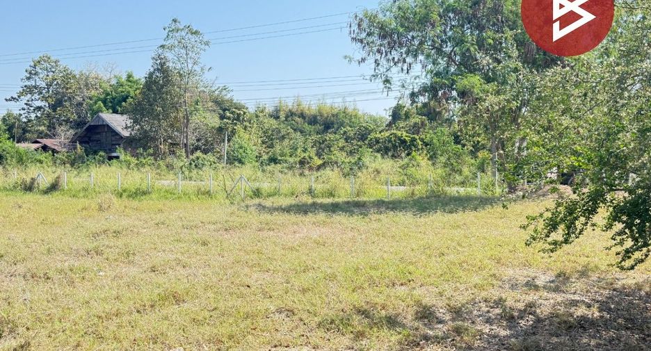 For sale land in Doi Lo, Chiang Mai