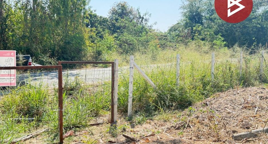 For sale land in Doi Lo, Chiang Mai