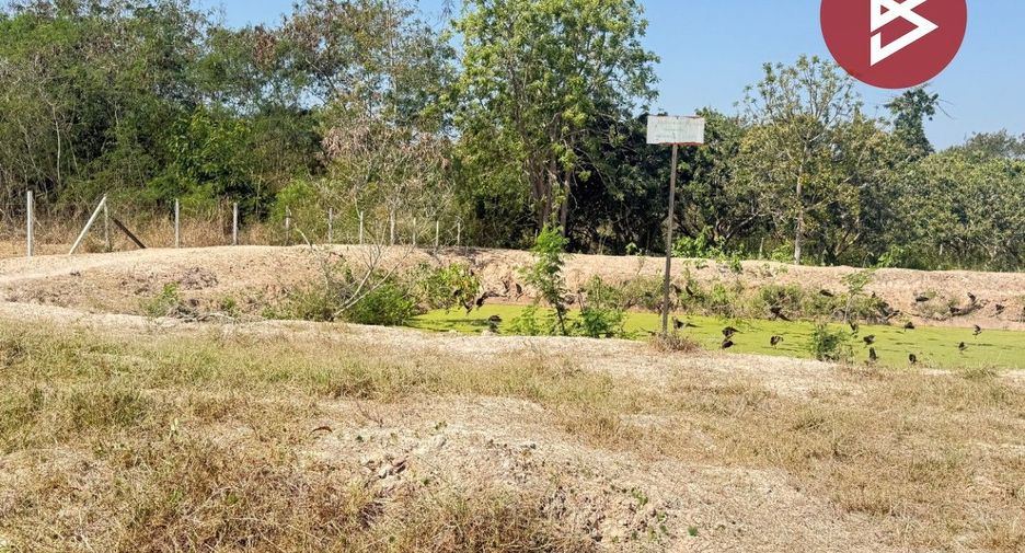 For sale land in Doi Lo, Chiang Mai