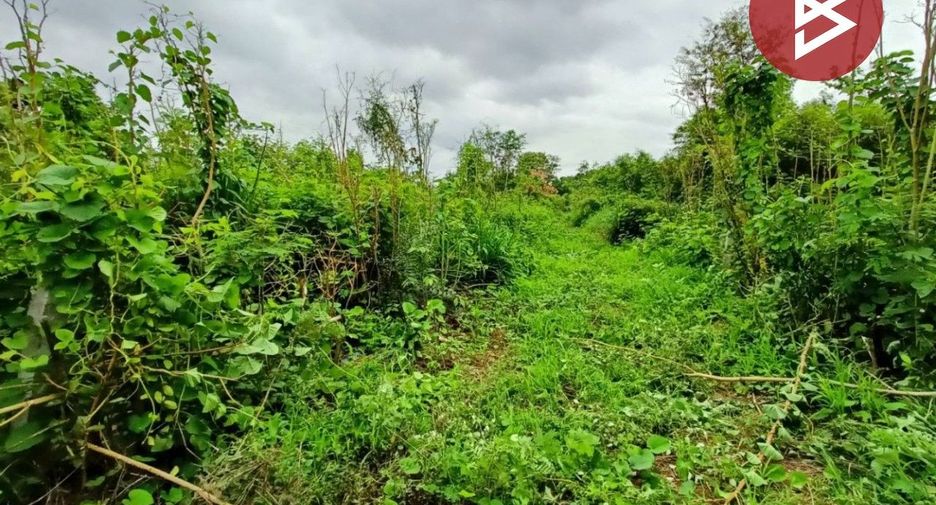 For sale land in Mueang Nakhon Sawan, Nakhon Sawan