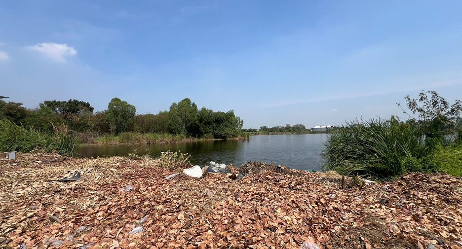 For sale land in Khlong Luang, Pathum Thani