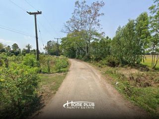 ขาย ที่ดิน ใน บางกระทุ่ม, พิษณุโลก
