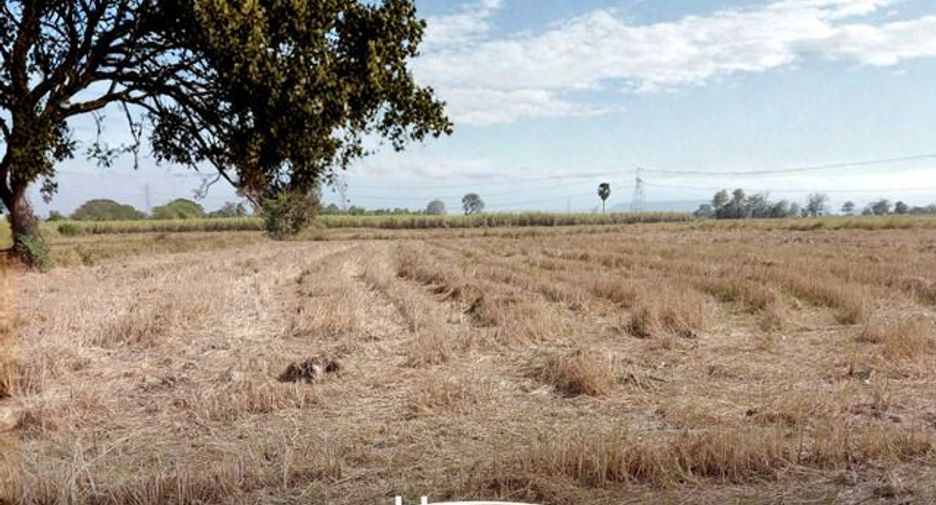 For sale land in Bang Krathum, Phitsanulok