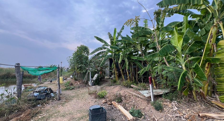 ขาย ที่ดิน ใน คลองหลวง, ปทุมธานี