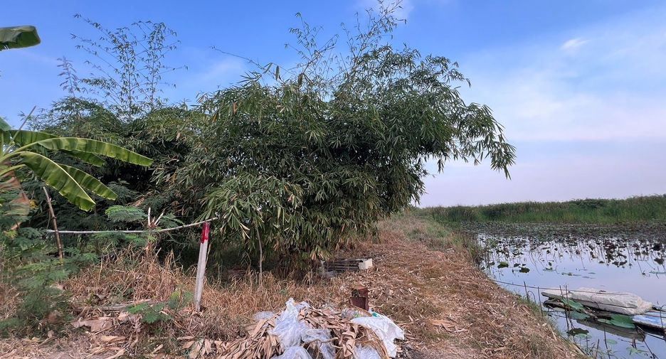 ขาย ที่ดิน ใน คลองหลวง, ปทุมธานี