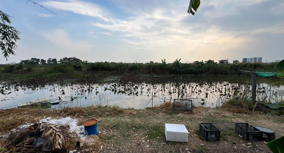 ขาย ที่ดิน ใน คลองหลวง, ปทุมธานี