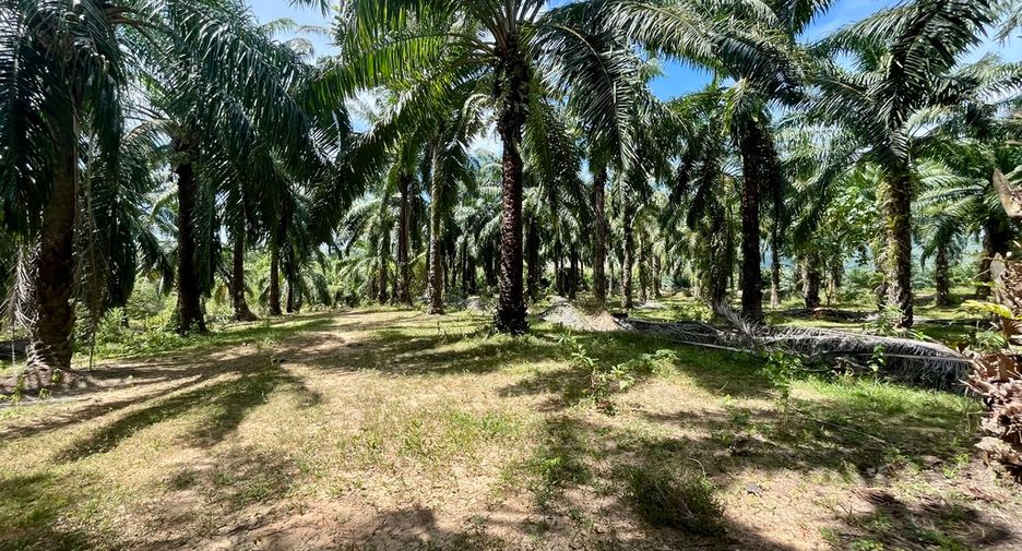 For rent land in Mueang Krabi, Krabi