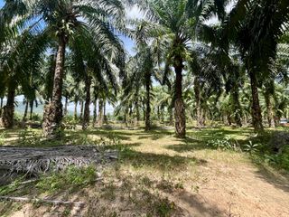 À louer terrain à Mueang Krabi, Krabi