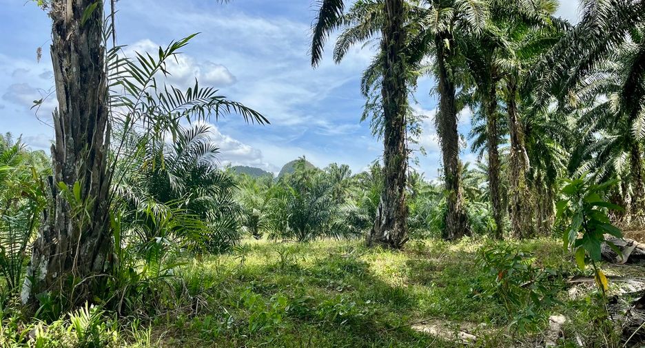For rent land in Mueang Krabi, Krabi