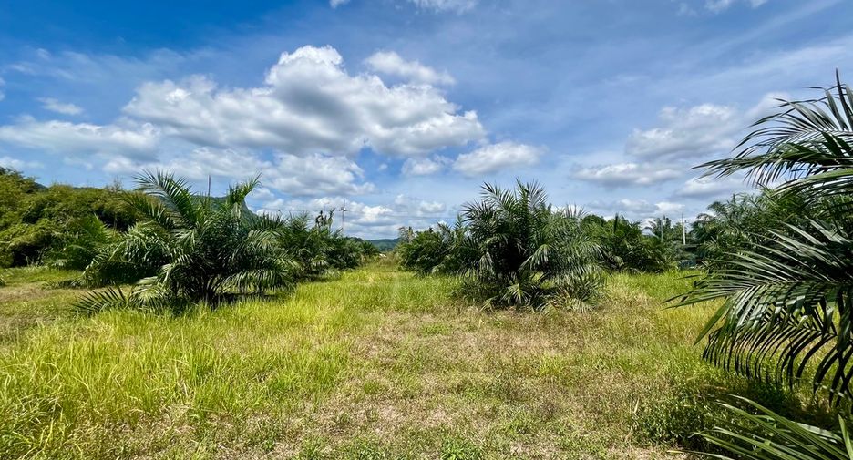 For rent land in Mueang Krabi, Krabi
