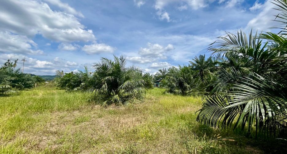 For rent land in Mueang Krabi, Krabi