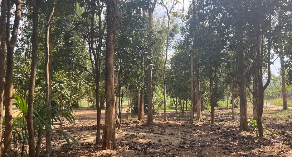 Terreno en venta en Thai Mueang, Phang Nga
