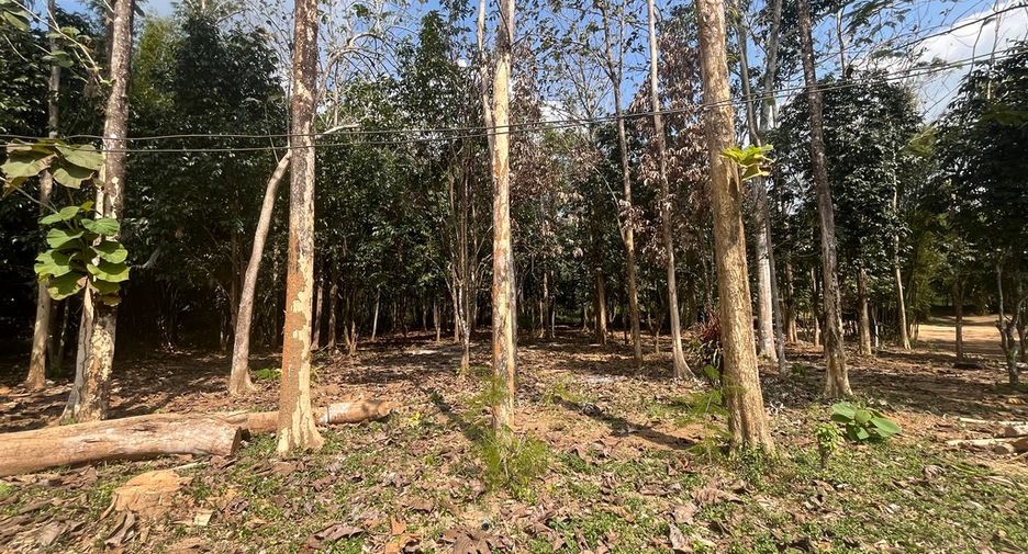Terreno en venta en Thai Mueang, Phang Nga