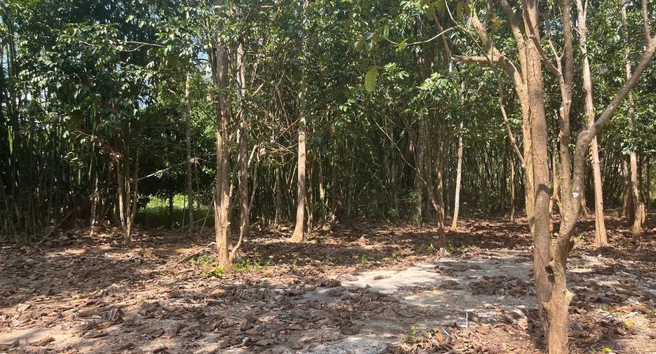 Terreno en venta en Thai Mueang, Phang Nga