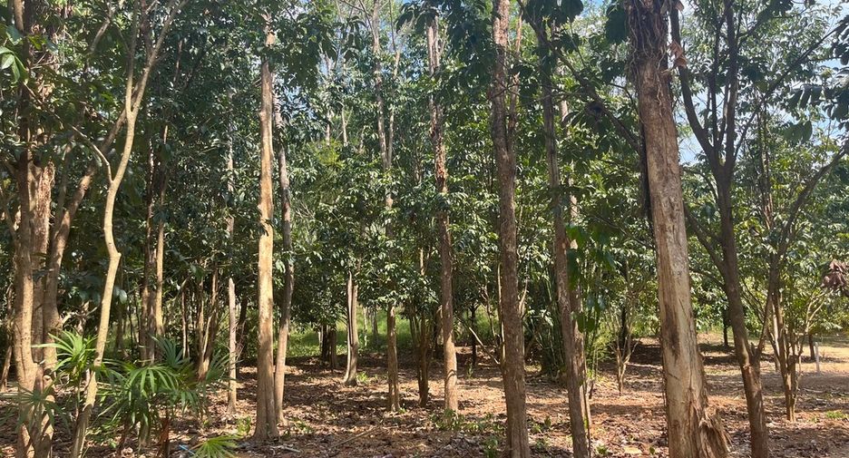 Terreno en venta en Thai Mueang, Phang Nga