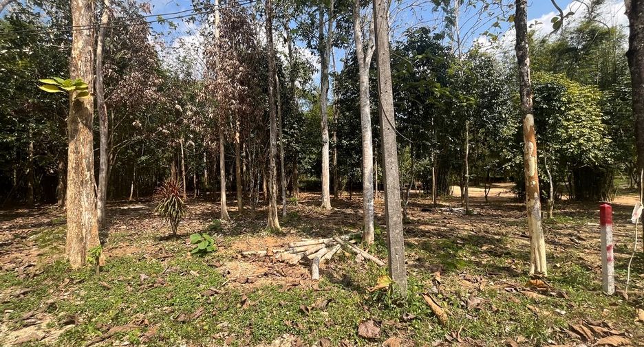 Terreno en venta en Thai Mueang, Phang Nga