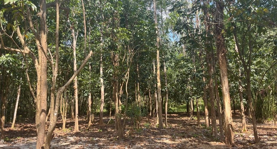 Terreno en venta en Thai Mueang, Phang Nga
