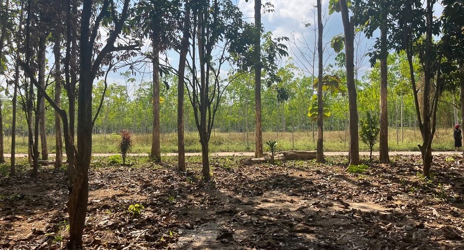 Terreno en venta en Thai Mueang, Phang Nga
