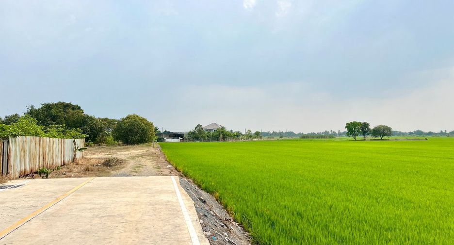 Grundstück zum Kauf in Lat Lum Kaeo, Pathum Thani