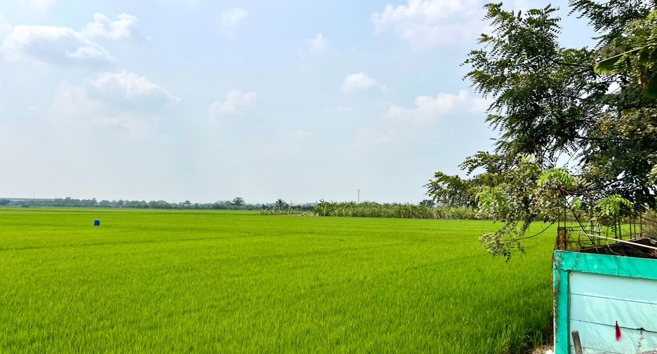 Grundstück zum Kauf in Lat Lum Kaeo, Pathum Thani