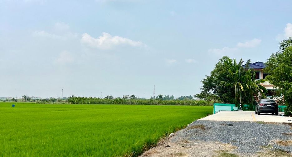 Grundstück zum Kauf in Lat Lum Kaeo, Pathum Thani