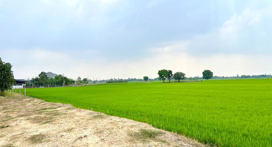 Grundstück zum Kauf in Lat Lum Kaeo, Pathum Thani