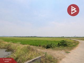 ขาย ที่ดิน ใน เมืองพิษณุโลก, พิษณุโลก