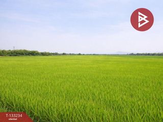 ขาย ที่ดิน ใน เมืองพิษณุโลก, พิษณุโลก