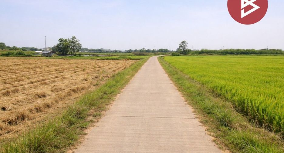 For sale land in Mueang Phitsanulok, Phitsanulok