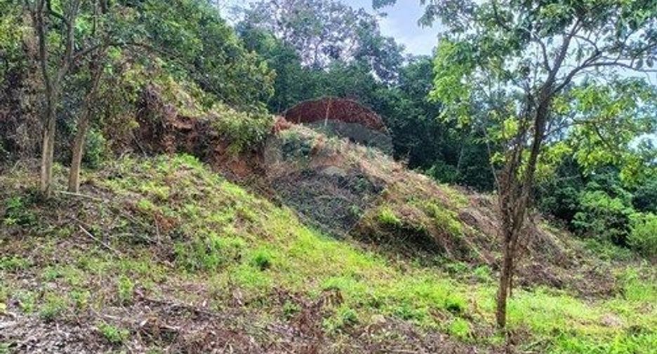 For sale land in Ko Samui, Surat Thani