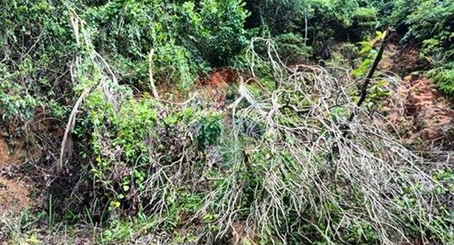 For sale land in Ko Samui, Surat Thani