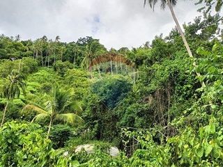 For sale land in Ko Samui, Surat Thani