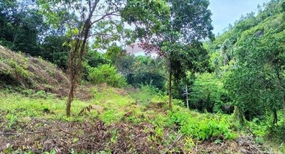 For sale land in Ko Samui, Surat Thani