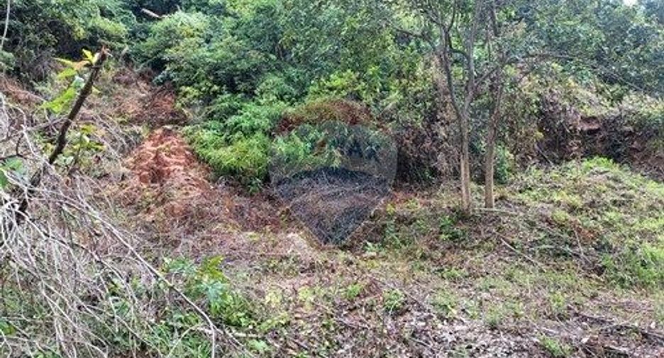 For sale land in Ko Samui, Surat Thani