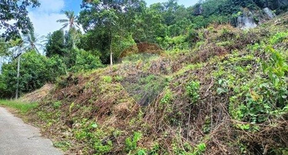 For sale land in Ko Samui, Surat Thani