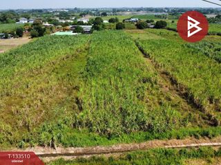 Продажа Участок в Mueang Nakhon Pathom, Накхонпатхом