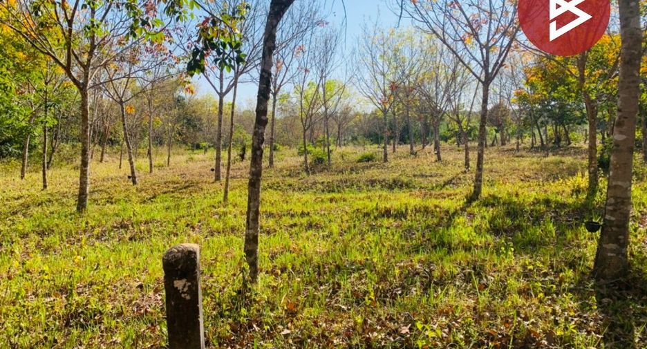 For sale land in Don Mot Daeng, Ubon Ratchathani