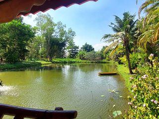 ขาย 5 ห้องนอน โรงแรม ใน เมืองระยอง, ระยอง