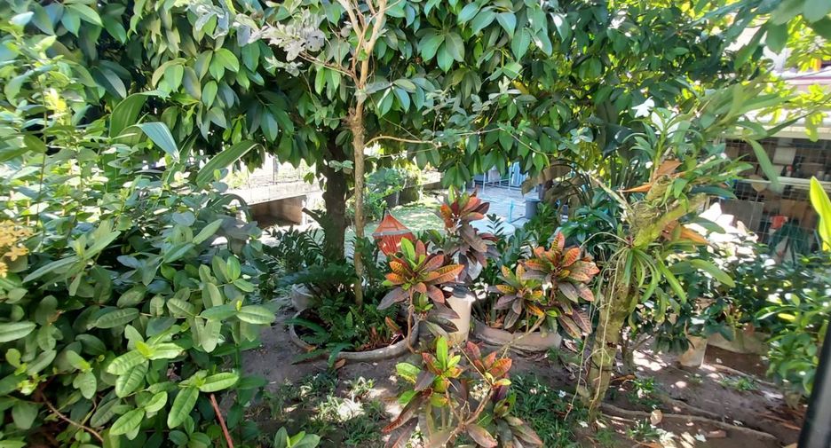 For sale 5 ベッドルーム hotel in Mueang Rayong, Rayong